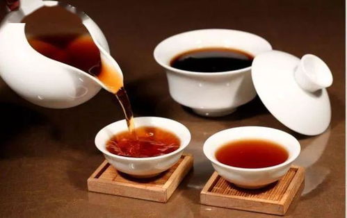 茶技直播 普洱茶的冲泡方法及注意事项