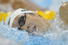 世游赛24日男子游泳预赛 韩国名将朴泰桓 