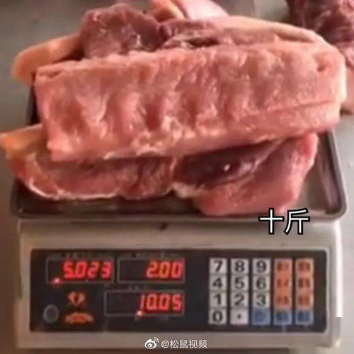 10斤肥肉实体图(10斤肥肉实体图片)
