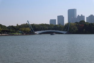 周末游上海之 世纪公园 
