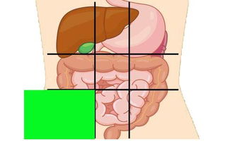内科主任 一张腹部地图,告诉你腹部疼痛对应哪个器官,终身有益
