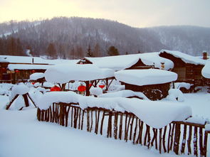 宁波到雪乡旅游要多少钱 12月份去雪乡旅游价格多少