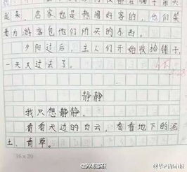 最犀利小学生作文内容全文 浙江一6年级女生犀利说国庆