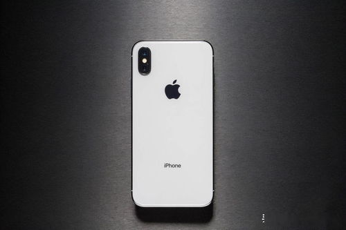 iphonex二手回收价格查询(二手苹果x回收)