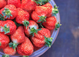 武汉摘草莓的季节是几月份 哪里有草莓采摘园