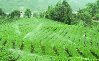 jinye灌溉系统(灌溉行业)