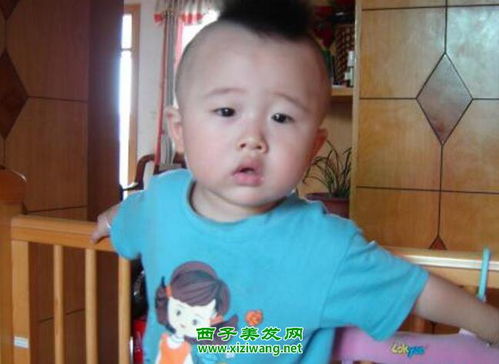 男生0到1岁婴儿发型图片 适合婴儿发型效果图 