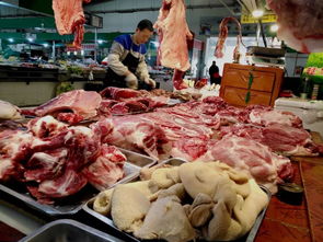 十斤肉的图片肚子(10斤肉的图片猪肉照片)