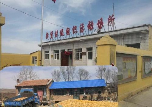 山西忻州的五寨县胡会乡石咀头村私挖滥采致人死亡
