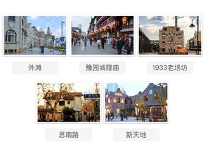 上海私人导游服务讲解体验 持证导游 可选英文服务 行程自由安排 费用透明