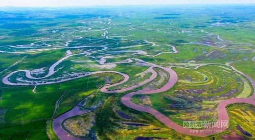 中国最大湿地在哪个省(中国最大的湿地排名)