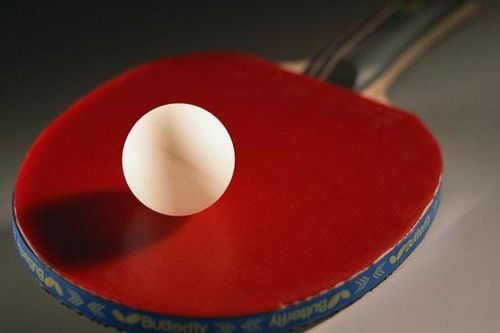 2021东京奥运会乒乓球混双比赛看点 中国队