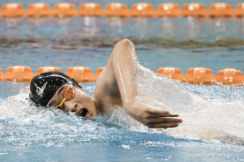游泳 安徽省游泳队举行测试赛