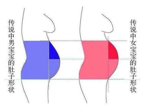 腹部九宫格定位图是什么女性左下腹部(腹部九宫图按摩手法)