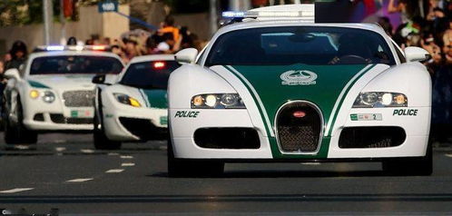 地球人已经阻止不了迪拜土豪炫富了 警车 