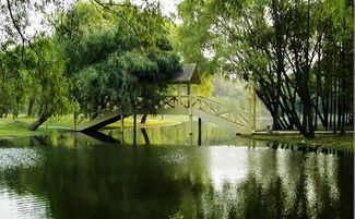 上海共青森林公园 上海共青森林公园图片 