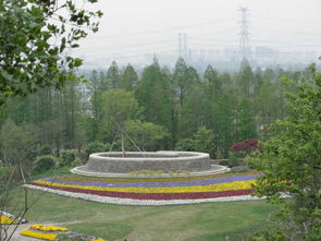 上海辰山植物园图片 