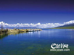 青海湖 正是观鸟好时节 