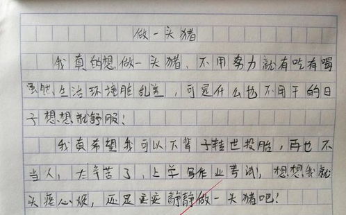 小学生把日记写成 段子 ,老师看后哭笑不得 太真实了