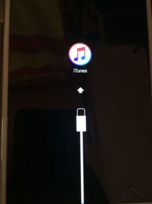 苹果手机充电一直白苹果(苹果手机充电白苹果图标一会消失)