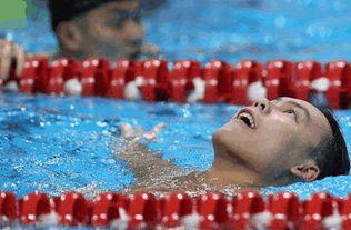状态不佳 余贺100米自由泳获铜牌,赛后坦言自己心态没摆正