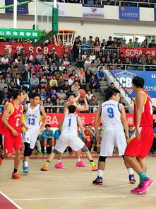 全国体育院校篮球联赛 山东体院夺男篮冠军