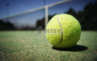 草地上的网球商用正版图片下载 图片ID 1528697 体育运动 正版图片 