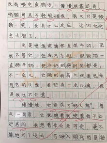 作文评语每次10000字 杭州一小学老师坚持26年,她都写了些啥