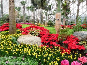 上海辰山植物园简介一下辰山植物园免费开放(上海辰山植物园营业时间)