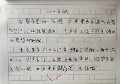 我只想做一头猪, 这个小学生写的日记让母亲非常生气