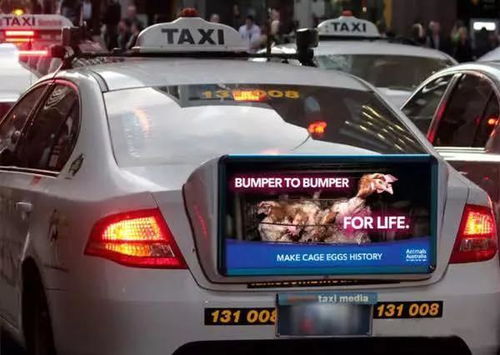 在澳洲开出租车一年能赚多少钱