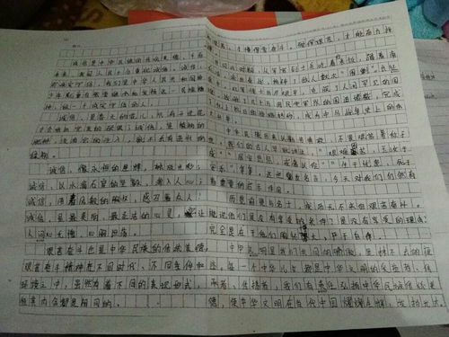 春节的传统文化作文500字(春节的传统文化作文300字左右)