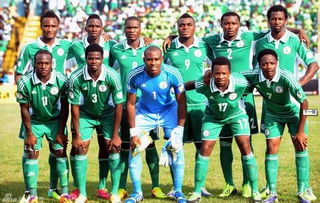 2014世界杯尼日利亚国家队23人大名单主力阵容 图
