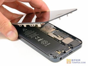 A6处理器更大屏幕 苹果iPhone5拆解图赏 