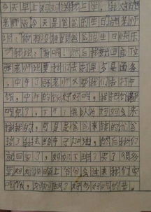 30年小学语文老师总结 3 5年级作文写作小妙招