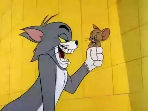 猫和老鼠 拍真人版 80年的经典动画,居然隐藏这么多故事