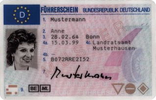 国外考驾照说多了都是泪 德国考试机会只有5次