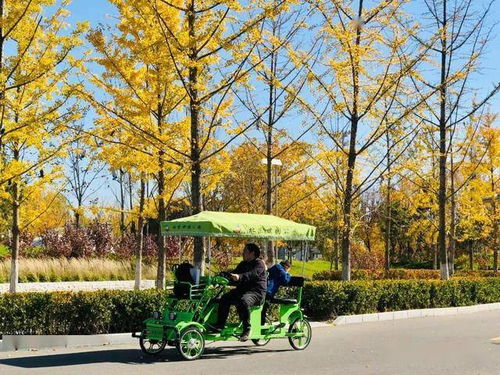 北京国际花园节闭幕,世园公园开启缤纷秋游季 动态