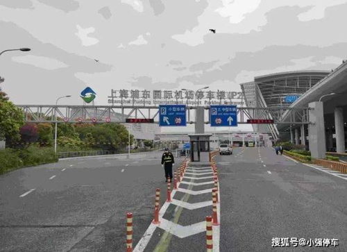 上海浦东机场停车费多少钱一天,浦东机场P1 P2 P4停车场停车攻略