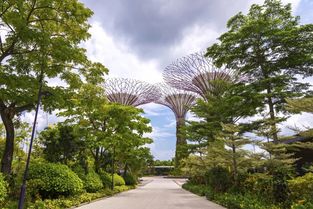 去新加坡哪儿最好玩,新加坡免费热门景点推荐攻略