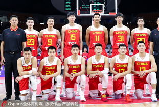 历届中国男篮队员名单(历届中国男篮12人大名单)