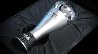 国际足联的奖杯(国际足联奖项)
