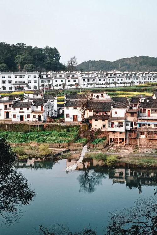 中国最富有诗意的村庄江西婺源,依山傍水宛若走进水墨画中