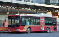 213公交车路线查询(213的公交路线)