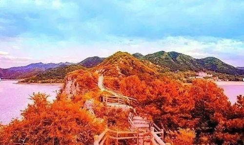 芍药居旅游 本周六值得去的一个地方 平谷金海湖,北京唯一可以在水面全方位观赏红叶的景区