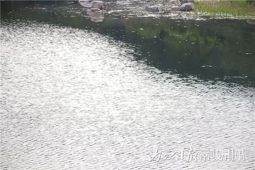 内江大自然景区开放了吗内江市大自然湿地公园电话(内江市大自然风景区)