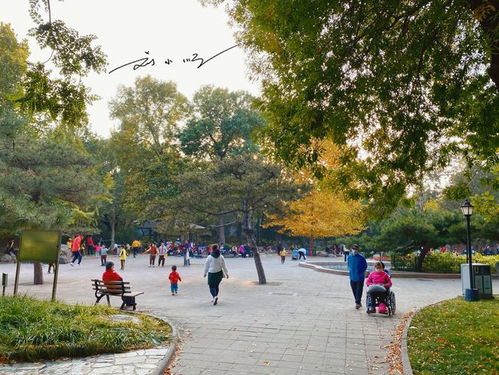 北京 最多此一举 的公园,门票价格2毛钱,游客 还不如不收