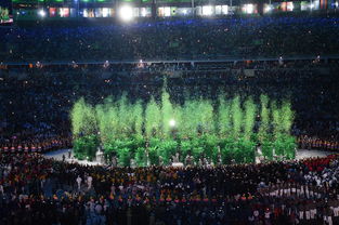 8月5日,第31届夏季奥林匹克运动会开幕式在巴西里约热内卢马拉卡纳体育场举行。 这是开幕式现场。 新华社记者 