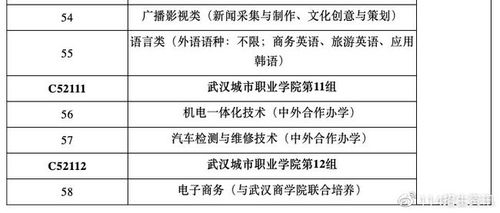 2021湖北省考生报考武汉城市职业学院专业组代码及专业代号对应表