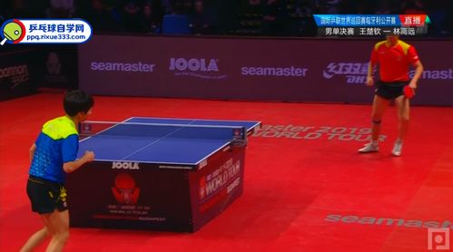 2019匈牙利公开赛 男单决赛 林高远vs王楚钦 乒乓球比赛视频 央视完整 
